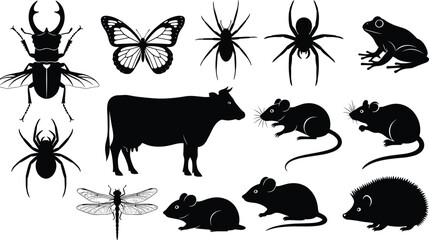 Animal and insect silhouettes collection, wildlife mammal amphibian arthropod shapes, black vector illustration set, isolated nature icons © Ayejoddin