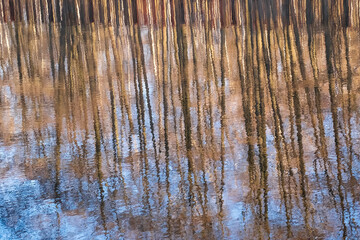 reflections of a forest in the water