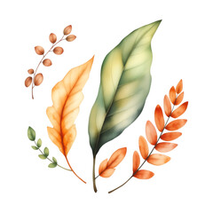 Autumn leaves watercolor illustration