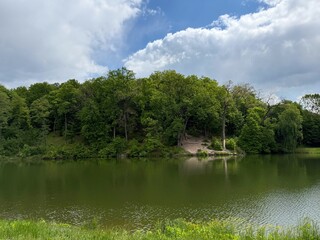 Green forest on lake shore in summer.
