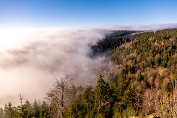 Winterwanderung im Th&uuml;ringer Wald auf den h&ouml;chsten Punkt am Rennsteig den Schneekopf - Th&uuml;ringen - Deutschland