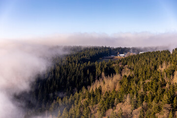 Winterwanderung im Th&uuml;ringer Wald auf den h&ouml;chsten Punkt am Rennsteig den Schneekopf - Th&uuml;ringen - Deutschland