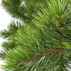 Holiday season background with festive Christmas decor