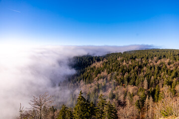 Winterwanderung im Th&uuml;ringer Wald auf den h&ouml;chsten Punkt am Rennsteig den Schneekopf - Th&uuml;ringen - Deutschland