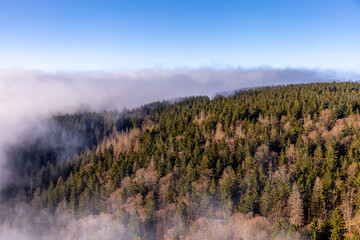 Winterwanderung im Th&uuml;ringer Wald auf den h&ouml;chsten Punkt am Rennsteig den Schneekopf - Th&uuml;ringen - Deutschland