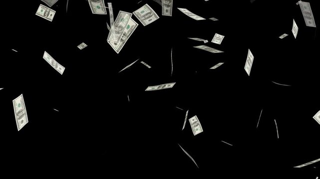 falling us dollar banknotes on black background with alpha channel. money falling animation background loop.