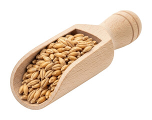 Harvesting barley seeds agriculture field food preparation isolated on transparent background