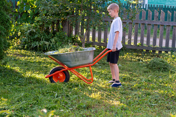 Teen boy pushing wheelbarrow with cut grass on sunny summer day in backyard