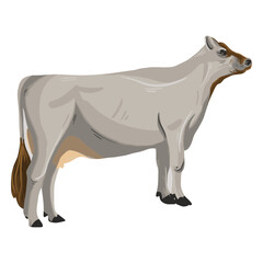 Obraz premium Standing cow animal illustration