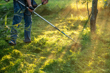 Worker mowing green grass with trimmer in bright evening sunlight