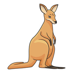 Cute kangaroo drawing