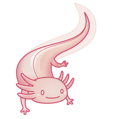 Fototapeta premium Axolotl cute colored