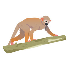 Common squirrel monkey illustration © Vexels