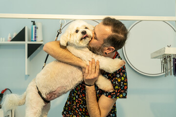 The adorable pose of a Maltese dog at a pet grooming salon