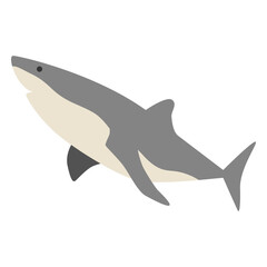 Fototapeta premium Shark sea animal swimming