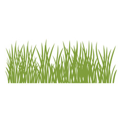 Fototapeta premium Grass silhouette in green