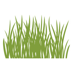 Fototapeta premium Tall lawn grass flat