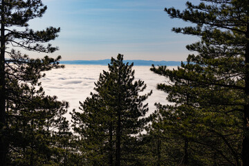Obraz premium View over clouds on mountains forest, Serbia