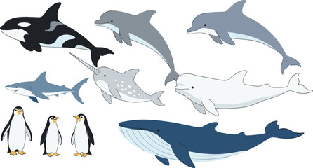 Professional flat vector illustration collection featuring orca, blue whale, dolphins, shark, narwhal, beluga, and penguins isolated on white background. © Sumon Creative