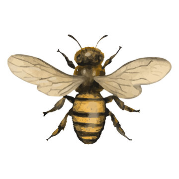 Bee textured insects