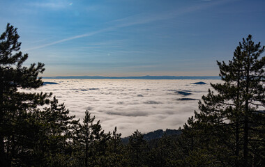 View over clouds on mountains forest, Serbia