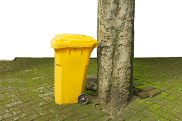 Yellow Trash Bin Beside Large Tree on Mossy Damp Paving Courtyard