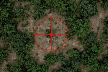 Aerial View of Forest with Red Target Overlay Highlighting Surveillance Focus.