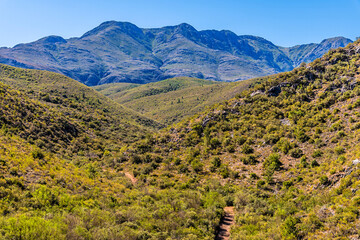 A view up a valley at the base of the Swartberg Pass in the Swartberg mountains in South Africa in springtime