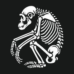 Primate skeleton illustration in a circular pose on black background.