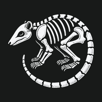Circular white rat skeleton illustration on a dark background.