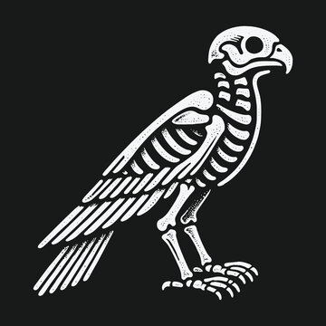 Stylized white eagle skeleton illustration on black background.