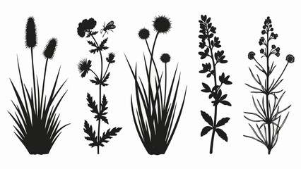 Silhouettes of Various Aquatic Plants.