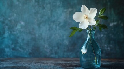 White flower in teal glass bottle minimalist still life photography