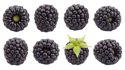 Fresh blackberries on transparent background, healthy food and fruit