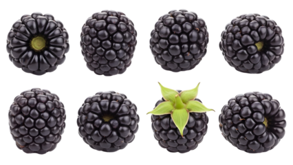 Fresh blackberries on transparent background, healthy food and fruit