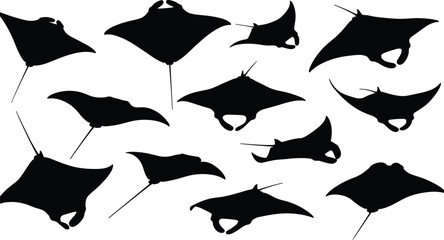 Manta ray silhouette set, flying stingray ocean poses collection, black vector illustration icons, marine wildlife design, isolated nature sea animals © MdMurad