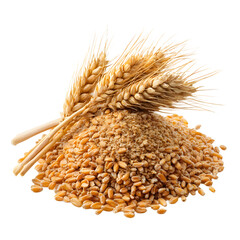 Wheat Grains and Ear of Wheat Isolated PNG &ndash; Whole Grain Pile on Transparent Background