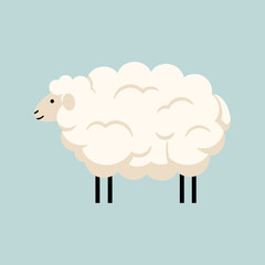 A simple cartoon illustration of a fluffy white sheep standing on a plain background. © rara