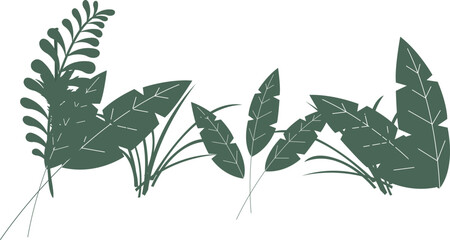 Dark green tropical leafy plants on a white background © MDMITHAN