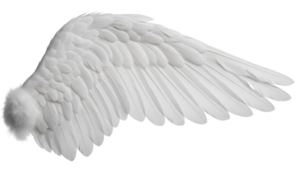 Detailed angel wing PNG isolated on transparent background, heavenly feather plumage for graphic design and spiritual concepts