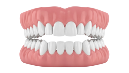 Realistic dentures isolated PNG on transparent background, dental prosthesis for tooth replacement and oral health care