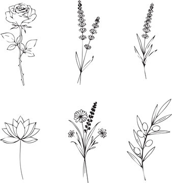 Minimalist Floral Line Art Collection: Rose, Lavender, Lotus, and Olive Branch Botanical Vector Illustrations
