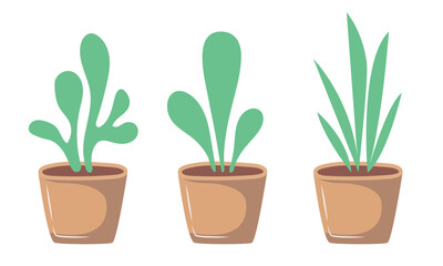 Plant in the pot. Vector flat illustration isolated on white background.