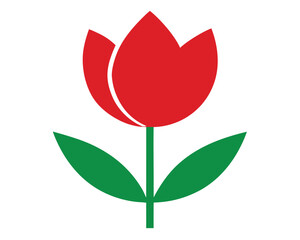 Vibrant Red Tulip Flower with Green Leaves on Transparent Background