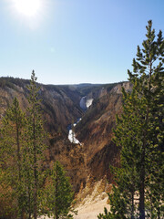 Sunburst Over Yellowstone Grand Canyon and Lower Falls