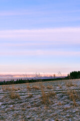 Photography from Kronborgs&aelig;tergrenda at rural Toten, Norway, in December 2025.