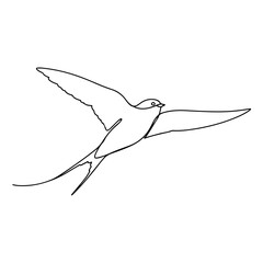 Flying bird isolated on transparent background