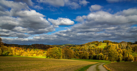 autumn landscape with road