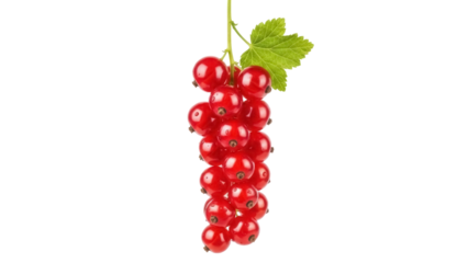 Vibrant red currant berries isolated PNG, fresh fruit with green leaf on transparent background for healthy eating and summer designs