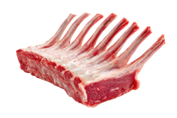 Raw rack of lamb meat with bones isolated on transparent background. Fresh rack of lamb ready for gourmet cooking isolated on white background.